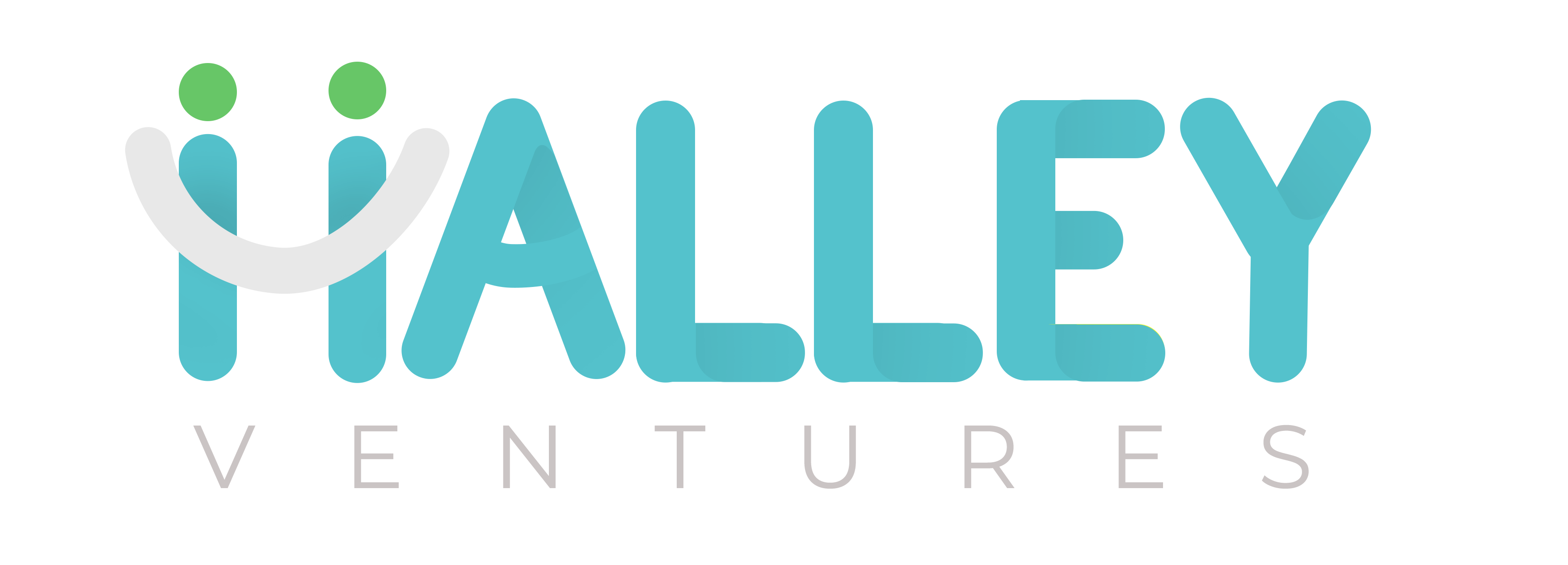 Halley Ventures